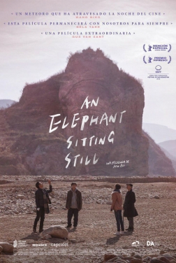 An Elephant Sitting Still (2018)