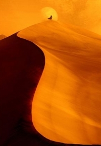 Dune 2 (2024)